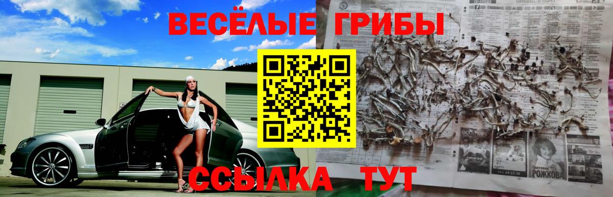 Галлюциногенные грибы Magic Shrooms  Вход с VPN  Омск 