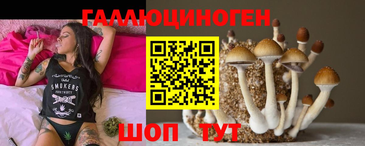 Псилоцибиновые грибы Psilocybine cubensis Омск